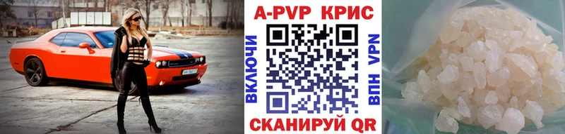 Купить закладки  Грайворон  A PVP СК 