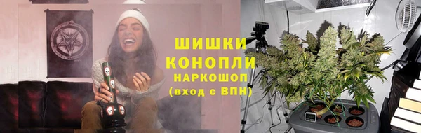 СК Михайловск