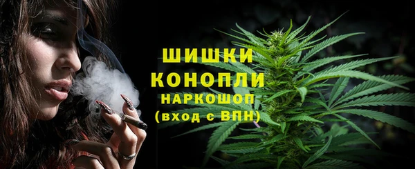 СК Михайловск