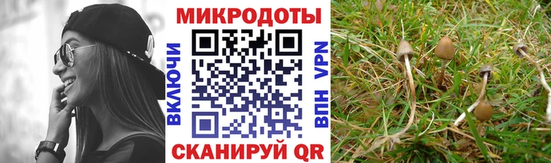 Галлюциногенные грибы прущие грибы  Купить закладки  Грайворон 